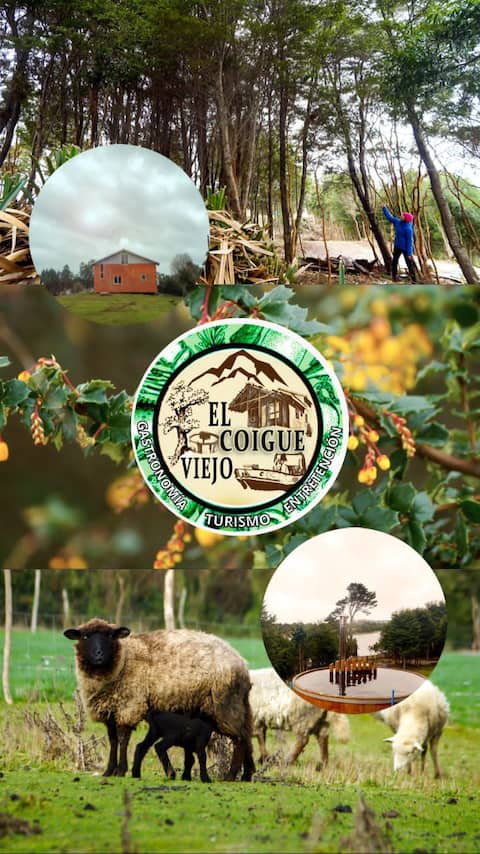 Food, Tourism, Accommodation, and Entertainment