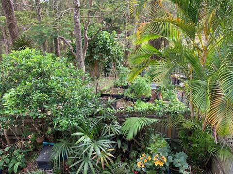 Sunrise Byron Bay+ White room