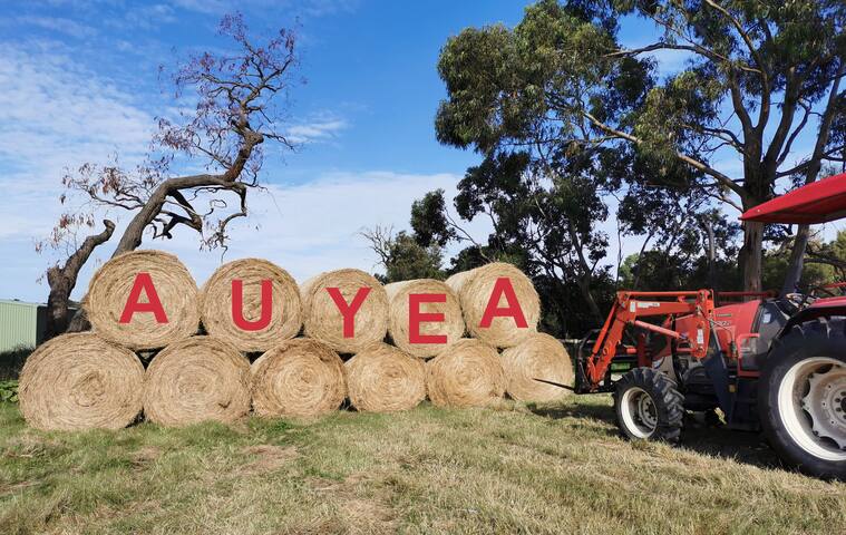 Auyea Farm 3BR Entire House – 7 Mins to Gumbuya gallery image 2