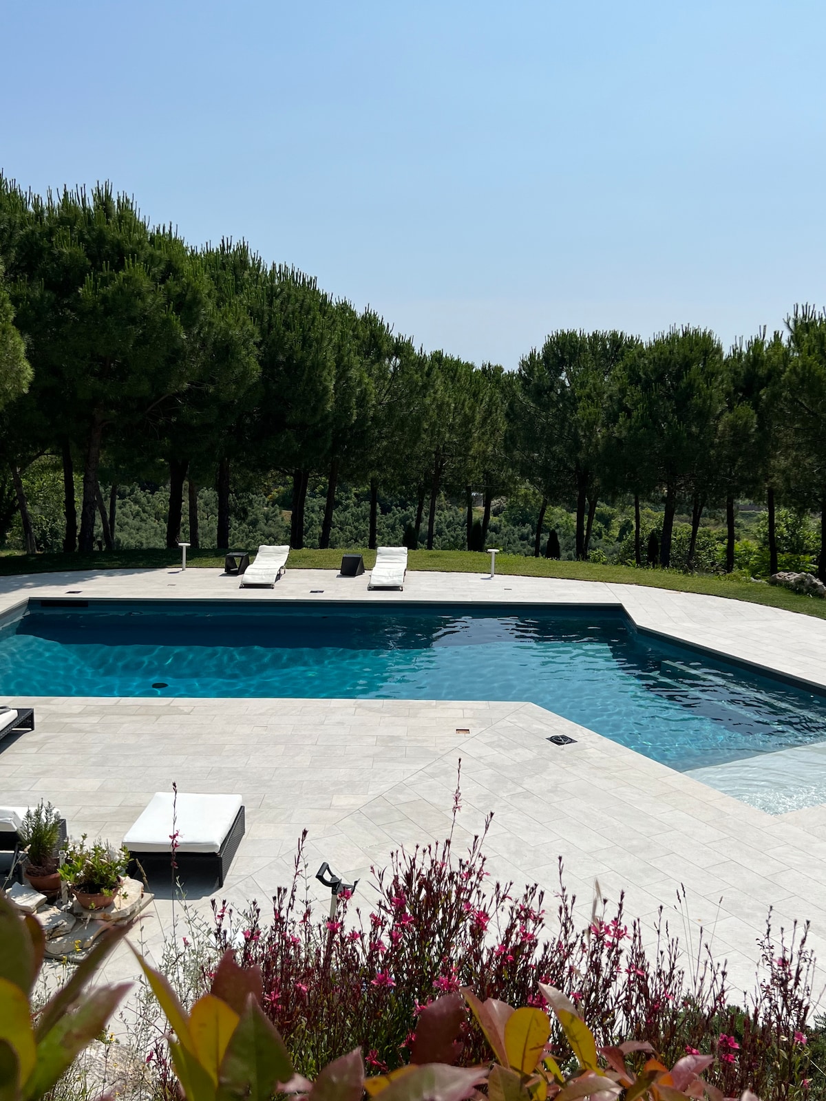 A serene swimming pool is surrounded by lush greenery, featuring sun loungers arranged on a spacious deck. The tranquil water reflects the clear sky, with vibrant plants adding subtle color to the scene.