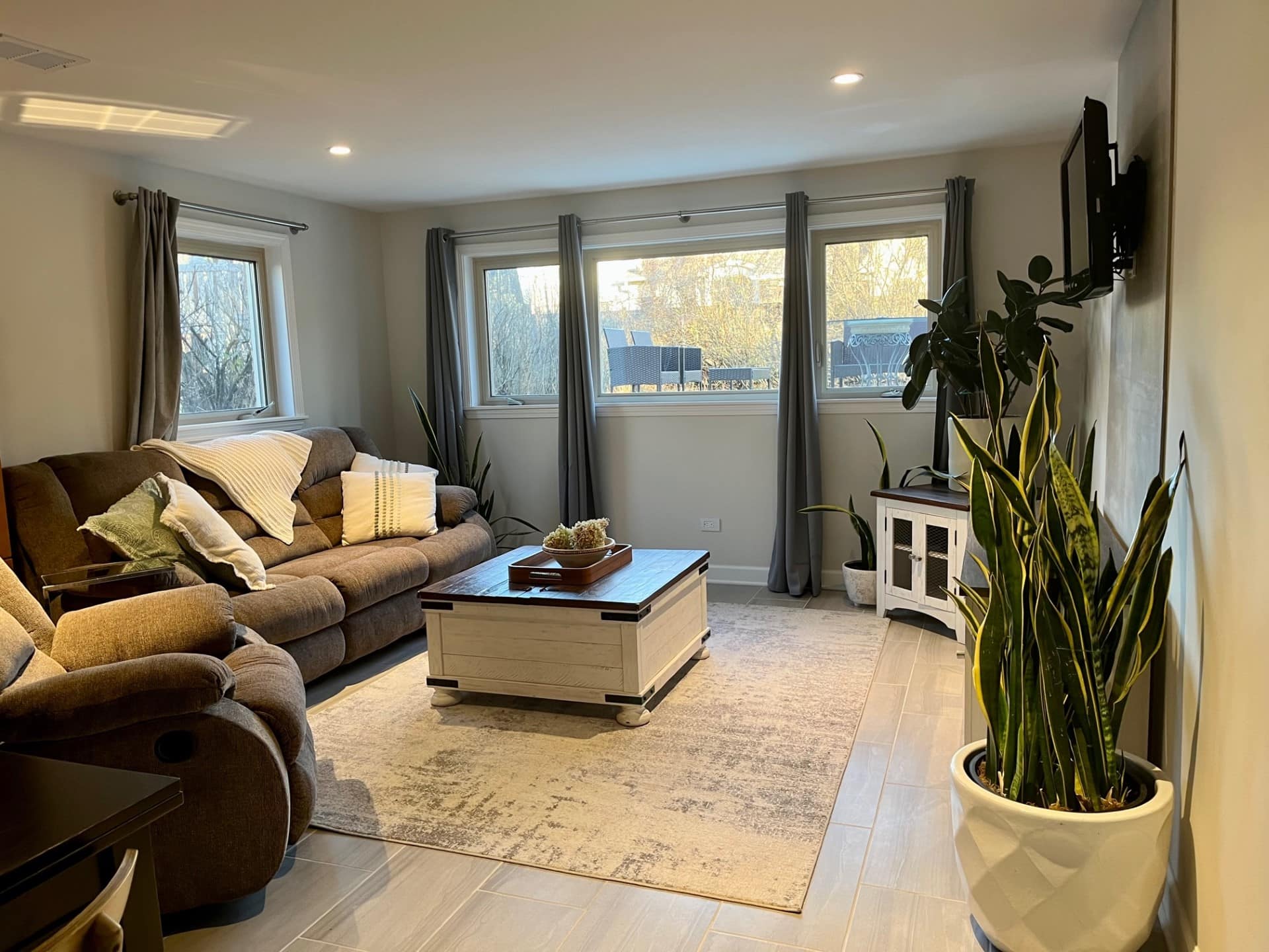 Green oasis in law suite