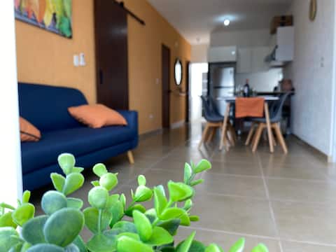 Popular Airbnb listing: Paradise Apartment in Supermanzana 333