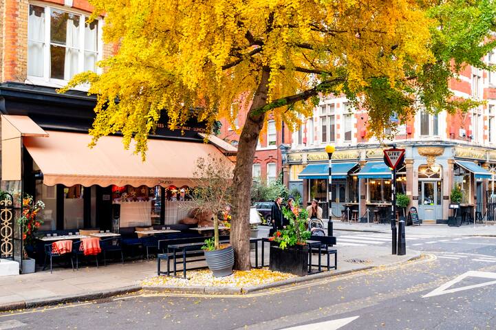 The Stylish Apartment gallery image 2