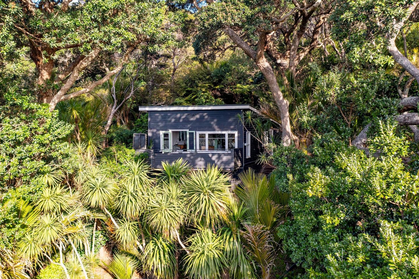 Piha Treehouse 1