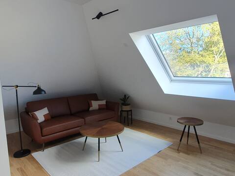 Beliebte Airbnb-Anzeige: New construction of a penthouse apartment in Obersendling