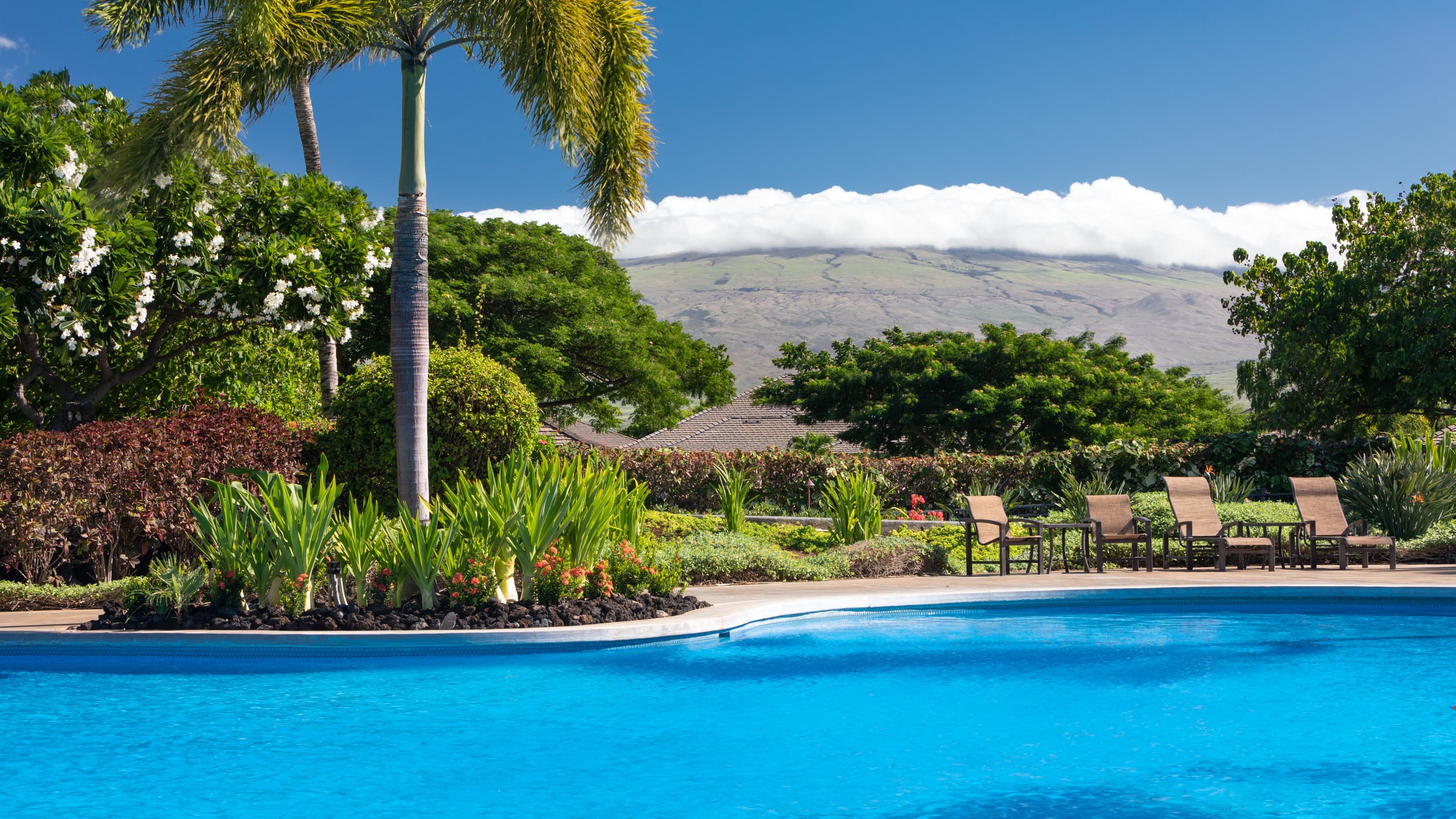 Home in Waimea · ★5.0 · 3 bedrooms · 5 beds · 2.5 baths - Image 50