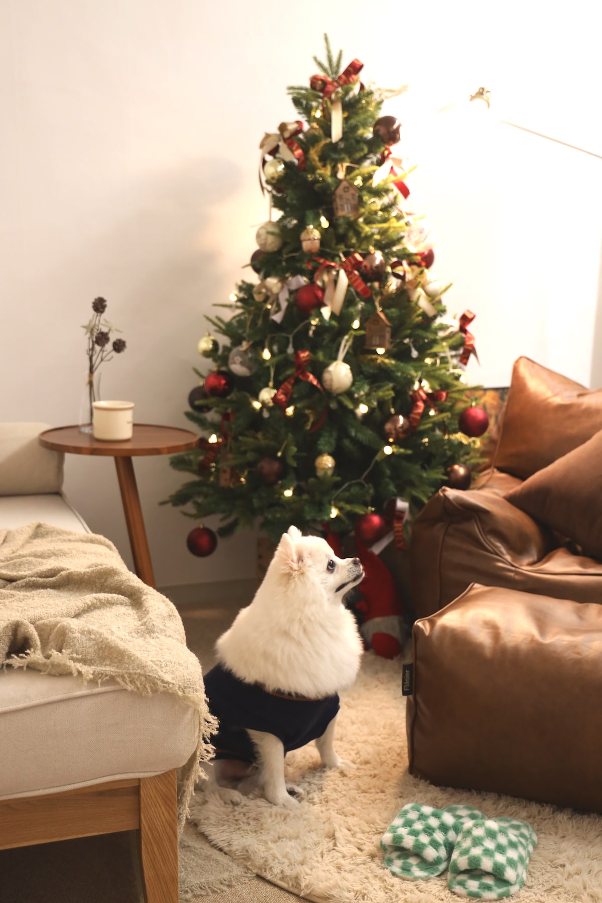 A living room scene is presented with a Christmas tree adorned with ornaments and lights. A cozy sofa with a light throw is visible beside a leather armchair. A fluffy white dog sits on the floor, wearing a blue sweater, looking towards the tree.