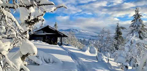 Award-winning cabin with amazing views