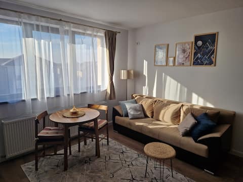 Popular Airbnb listing: Craicelor Airport Studio in Ilfov