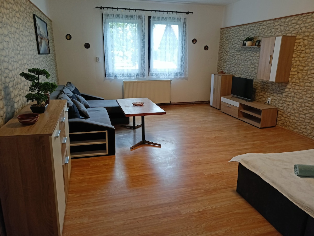 A spacious living area features a light hardwood floor and a textured stone accent wall. Two large windows allow natural light to fill the room, while a comfortable sofa and a wooden coffee table provide a welcoming space. A television is mounted on the wall for entertainment.