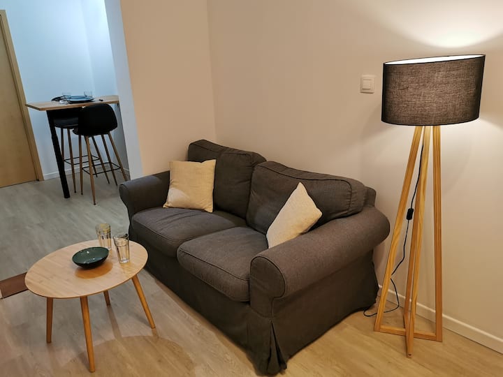 Charmant Logement Au Cœur De Sélestat - Alsace