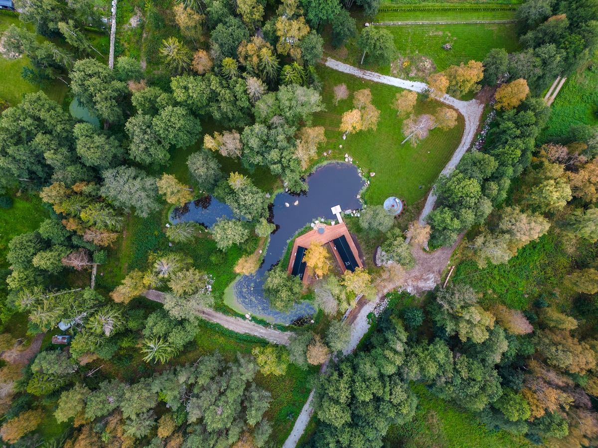 An aerial view captures a lush landscape with a small pond at the center. Surrounding greenery includes various trees with autumn hues. A pathway curves through the scene, leading towards a structure near the pond, blending harmoniously with the natural surroundings.