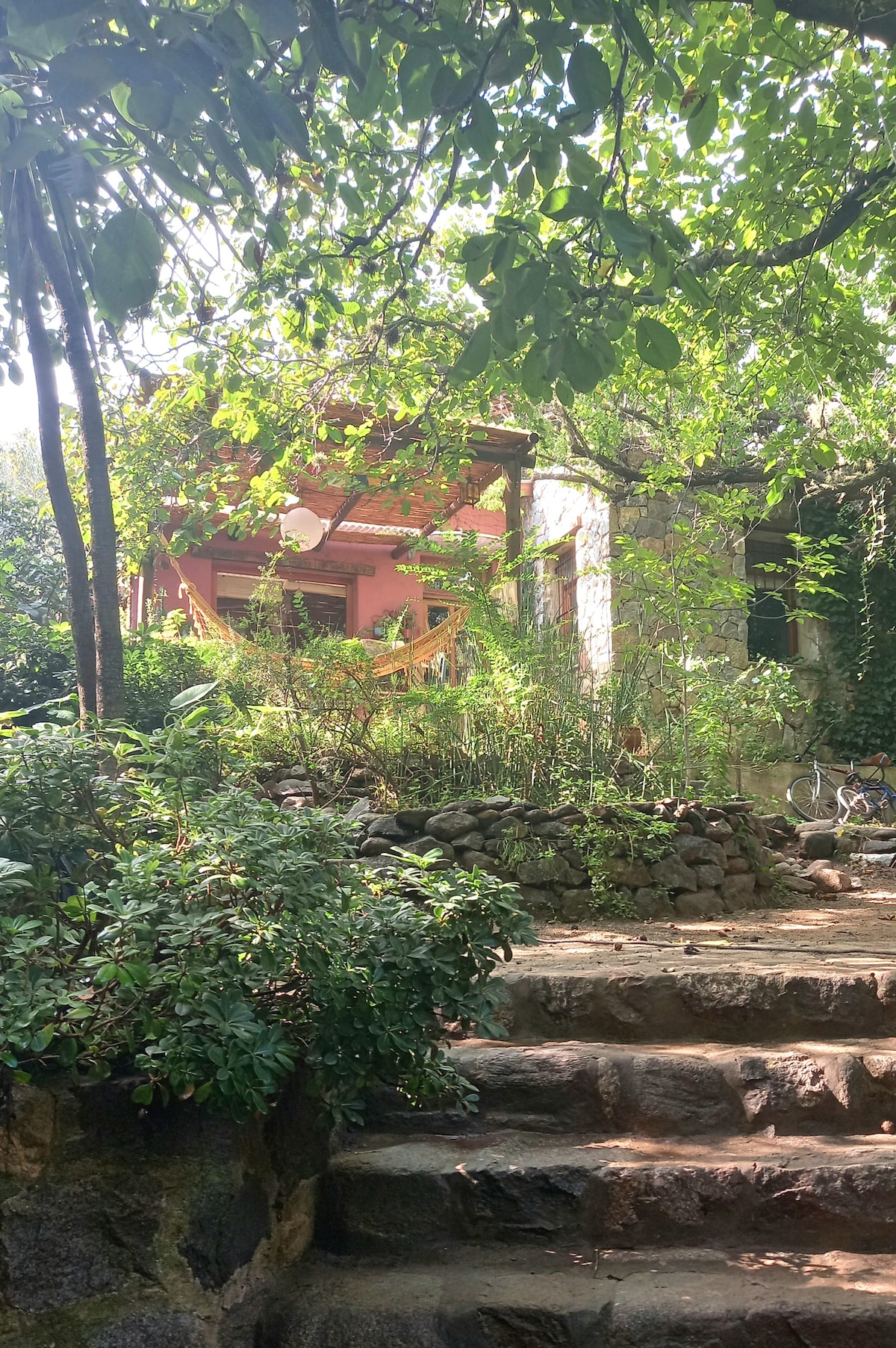 A stone pathway leads through lush greenery to a charming house, partially obscured by trees. The exterior features wooden elements, blending seamlessly with the surrounding nature. A bicycle is positioned near the entrance, enhancing the inviting atmosphere of the outdoor space.