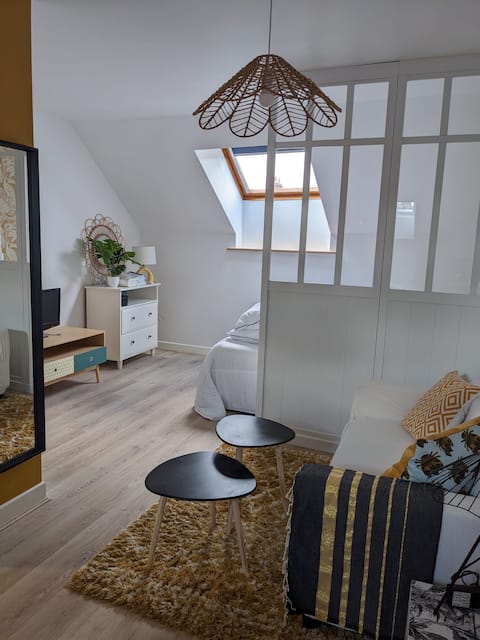 Nogent hyper centre 1/2p Studio 1 Garden - Icon