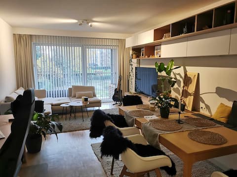 Modern Flat in Brussels Evere