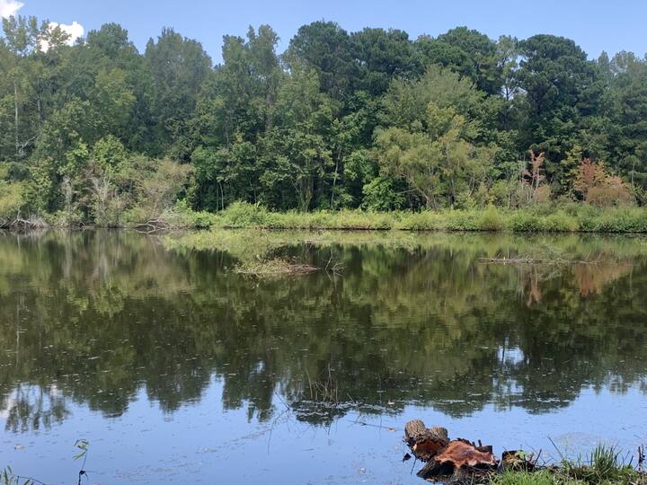 Lake Marion Lake House Vacation Rentals South Carolina, United States