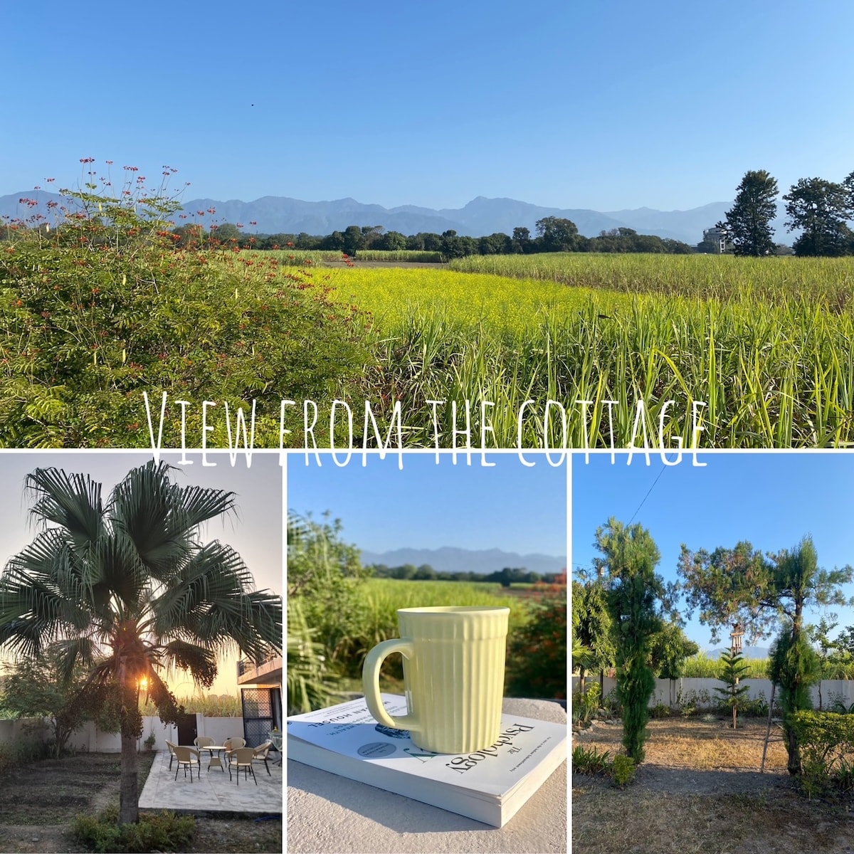 A panoramic view from the cottage showcases lush green fields extending to the horizon, framed by rolling hills under a clear blue sky. Tropical greenery, including a palm tree, and a cozy outdoor seating area can be seen nearby, inviting relaxation and appreciation of the scenery.