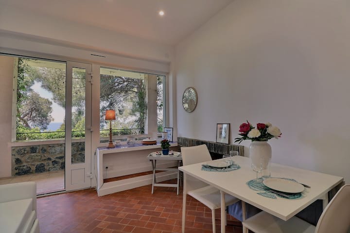 Appartement, Une  Chambre, Vue Mer, Piscine - La Croix-Valmer