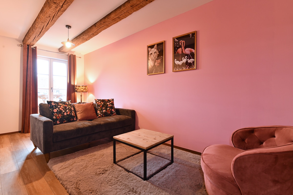 Propriété Airbnb réussie: "La vie en rose" 6P-3BR à Colmar