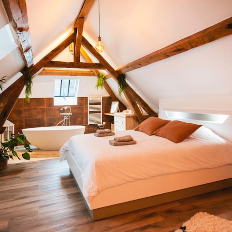 Heart of town/charm - The Duplex - The Laurencin Sens