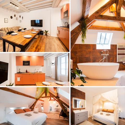 Heart of town/charm - The Duplex - The Laurencin Sens