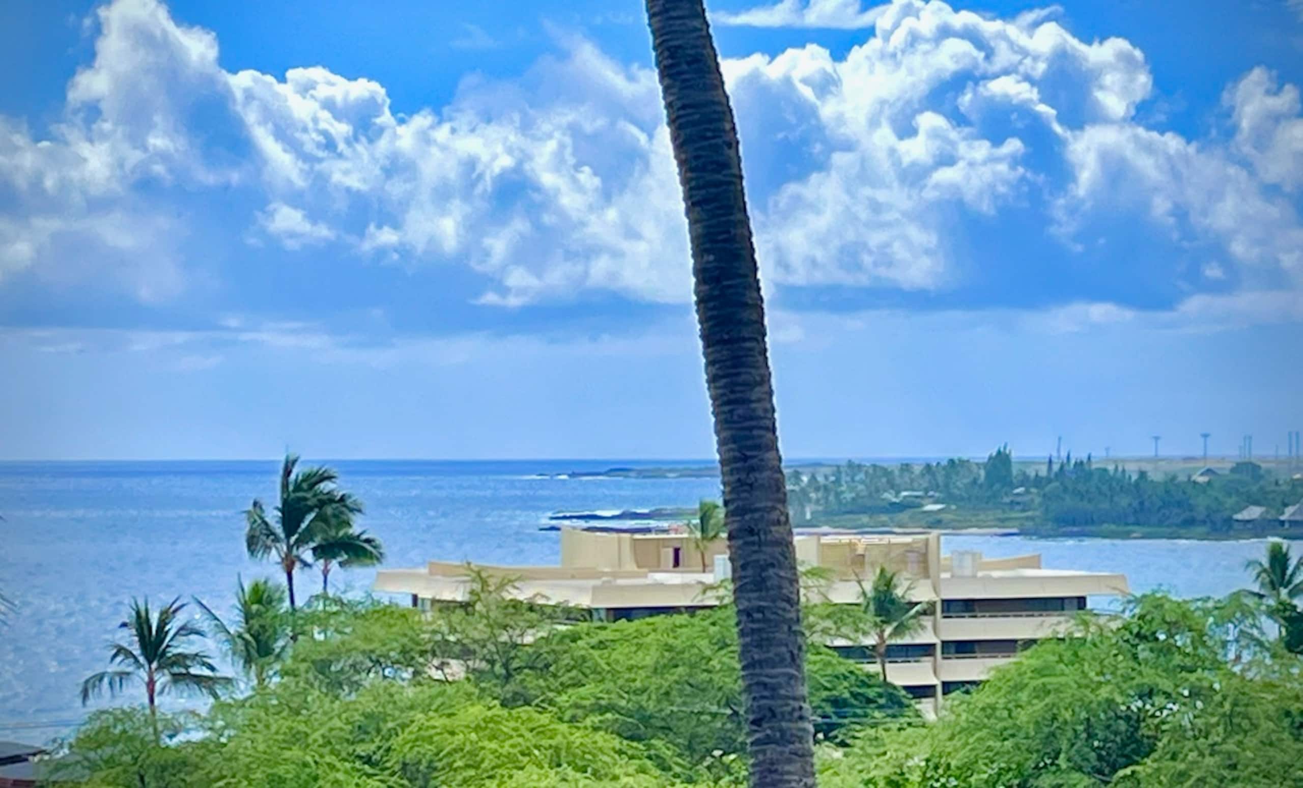 1bd/2 full ba spacious panoramic ocean/mtn view! - Image 1