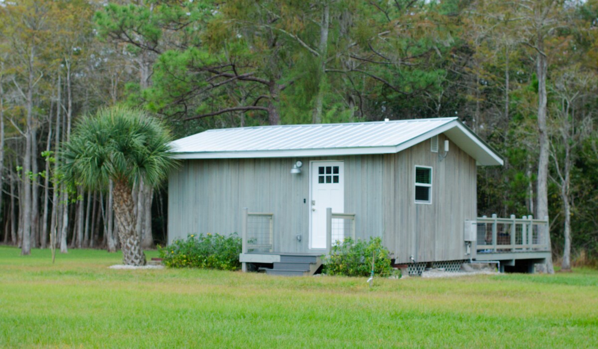A quaint one-room cabin is shown surrounded by a lush green lawn. Its grey wooden exterior is complemented by a metal roof. A front porch features a small railing, while palm trees and a forest backdrop complete the serene setting.