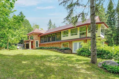 Simcoe Cottage + Hot Tub + Sauna + Private Retreat