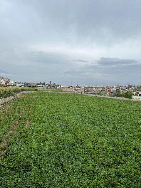 Apartment in Sachaca, Arequipa
