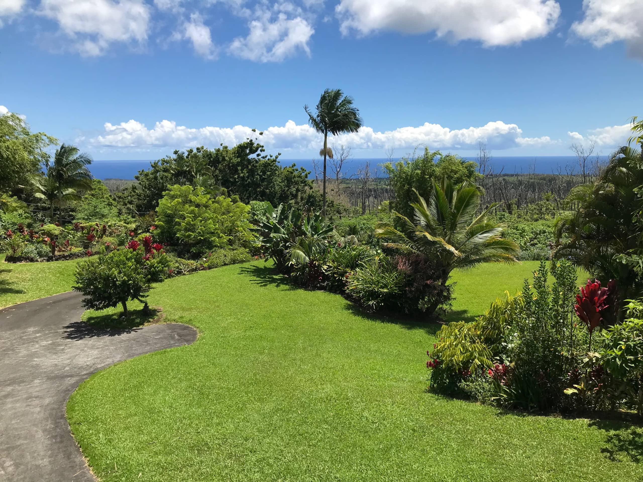 Ohana  Aloha - Photo 10