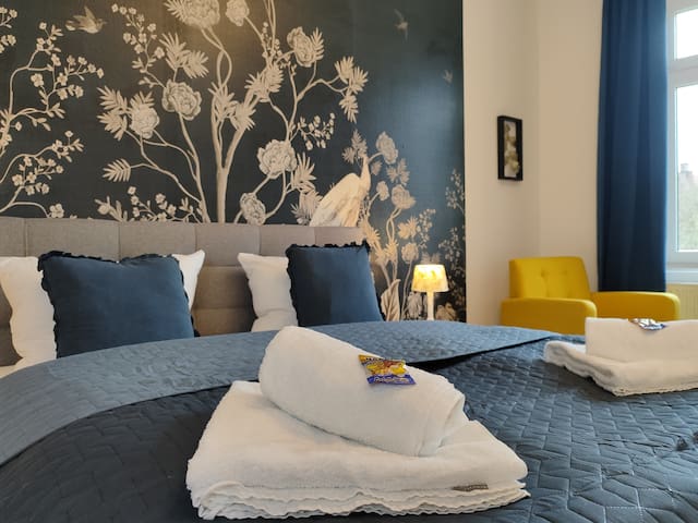 Bohn Apartment managed Airbnb listing 1