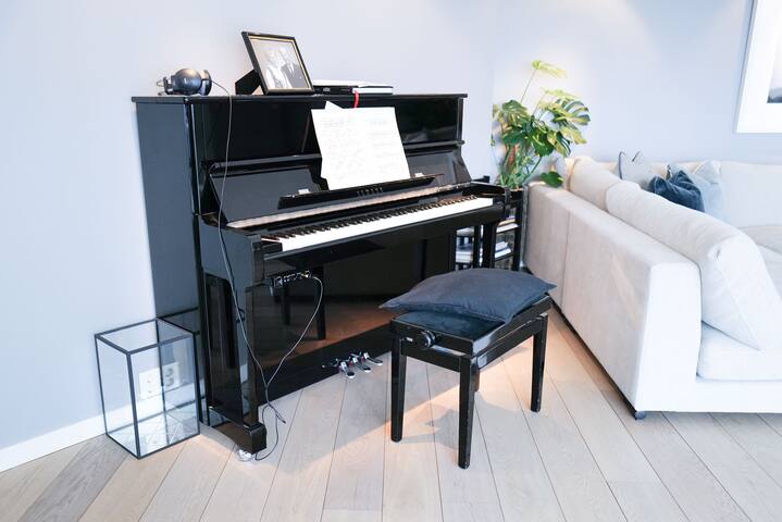 Ledig Norway Cup. Flott hus med enestående utsikt. gallery image 4