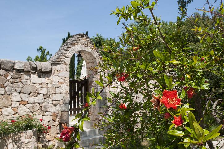 Trulli Valle d’Itria -Melograno piscina riscaldata gallery image 3