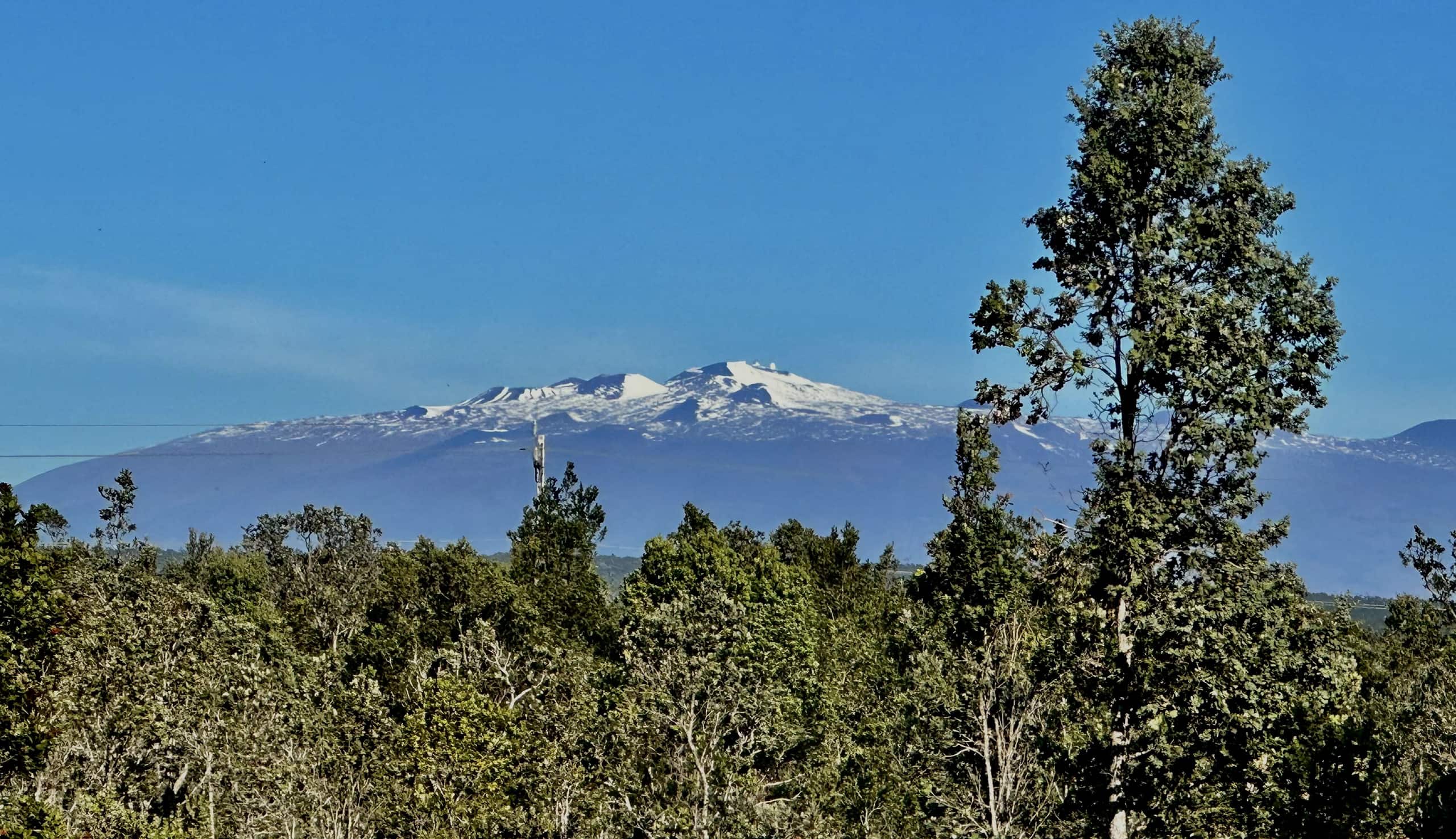Home in Volcano · ★4.7 · 2 bedrooms · 3 beds · 1 private bath - Image 58