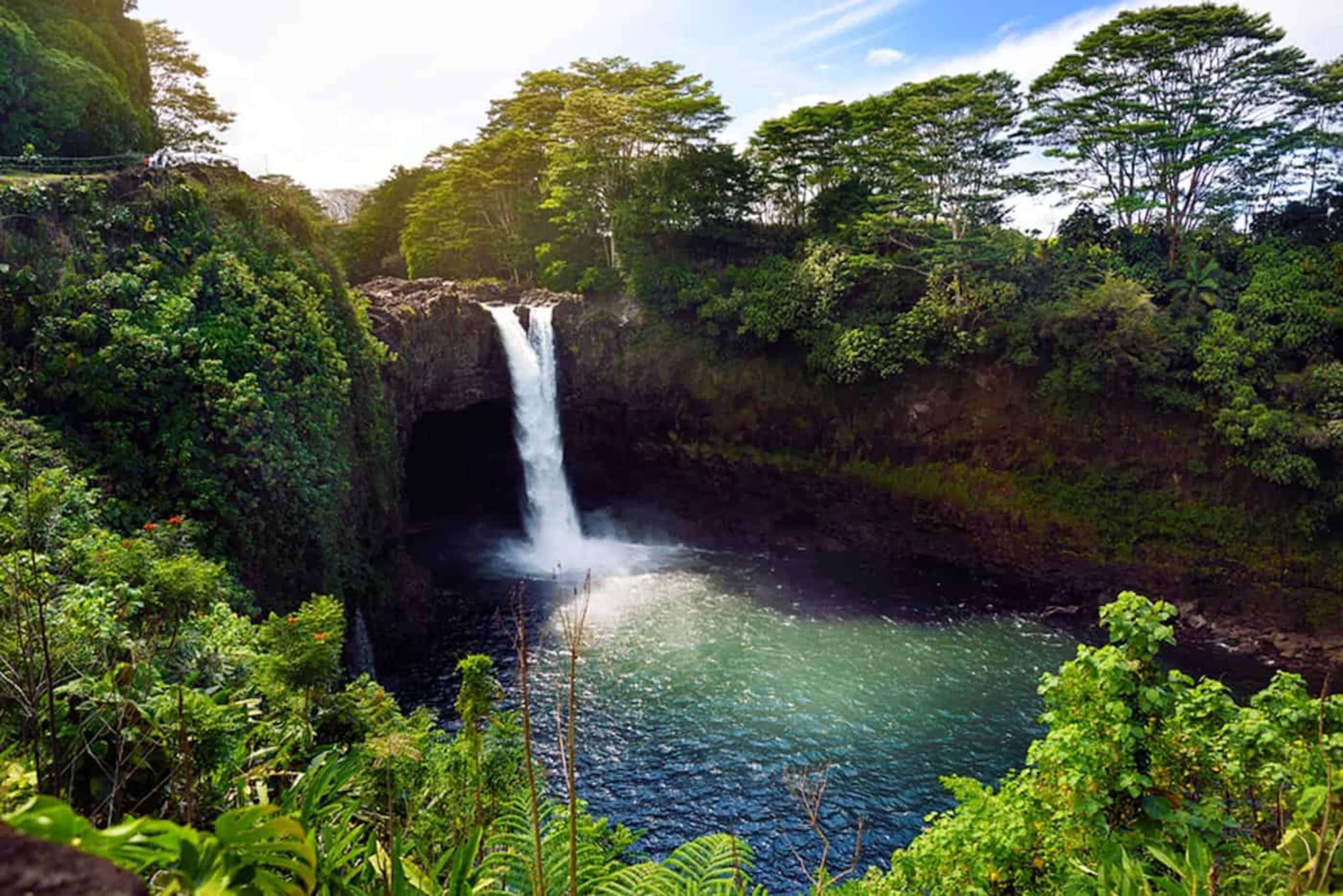 Home in Volcano · ★4.7 · 2 bedrooms · 3 beds · 1 private bath - Image 69