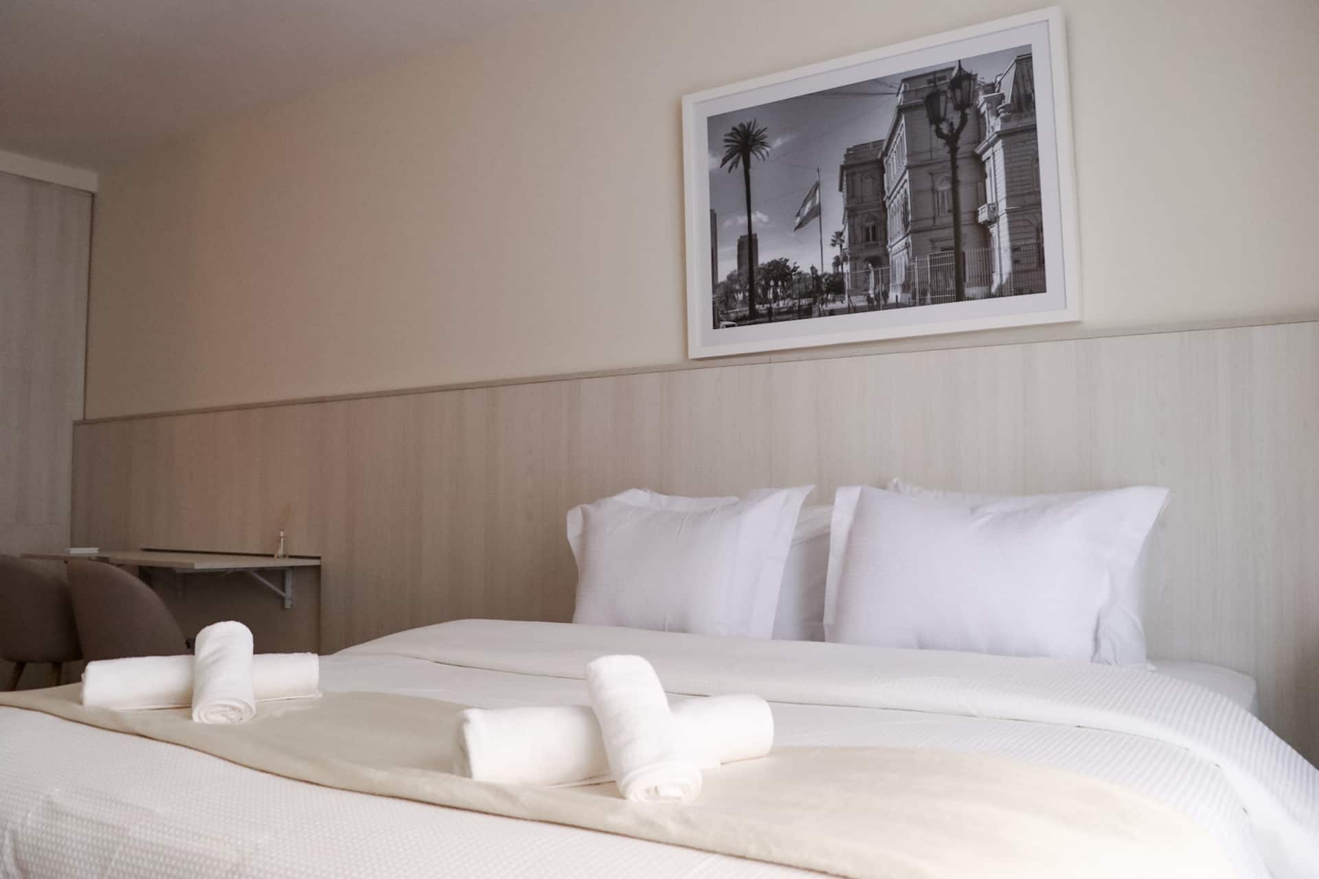 Premium depto in Recoleta 11
