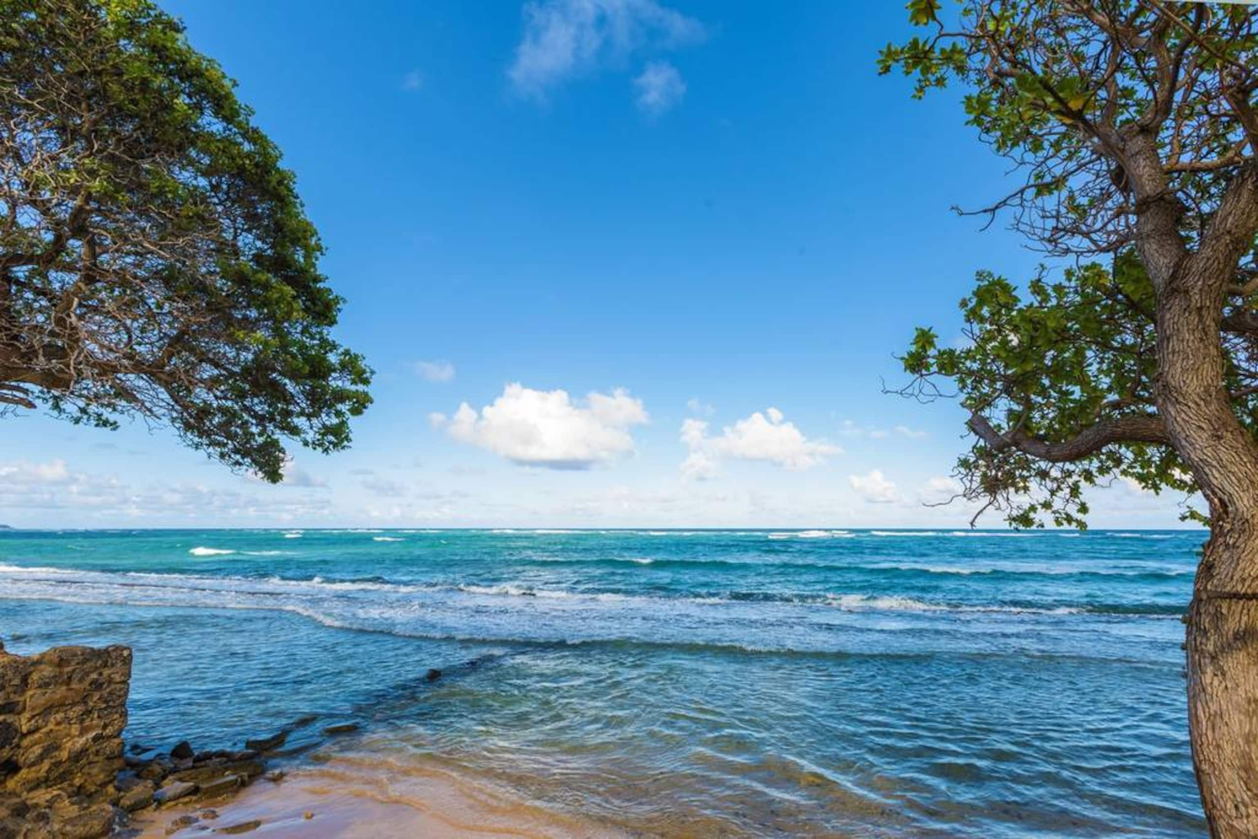 Home in Kapaa · ★4.85 · 3 bedrooms · 4 beds · 2.5 baths - Image 28