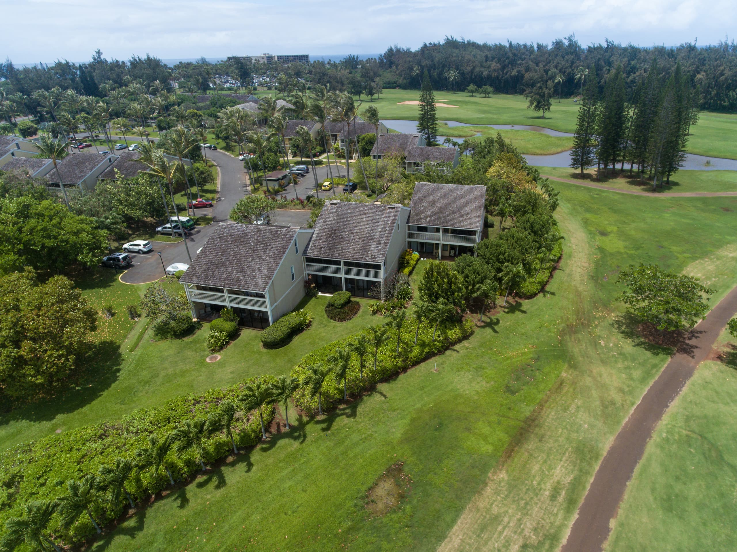 Iconic Turtle Bay - Full Kitchen & 2 Full Baths - Image 8