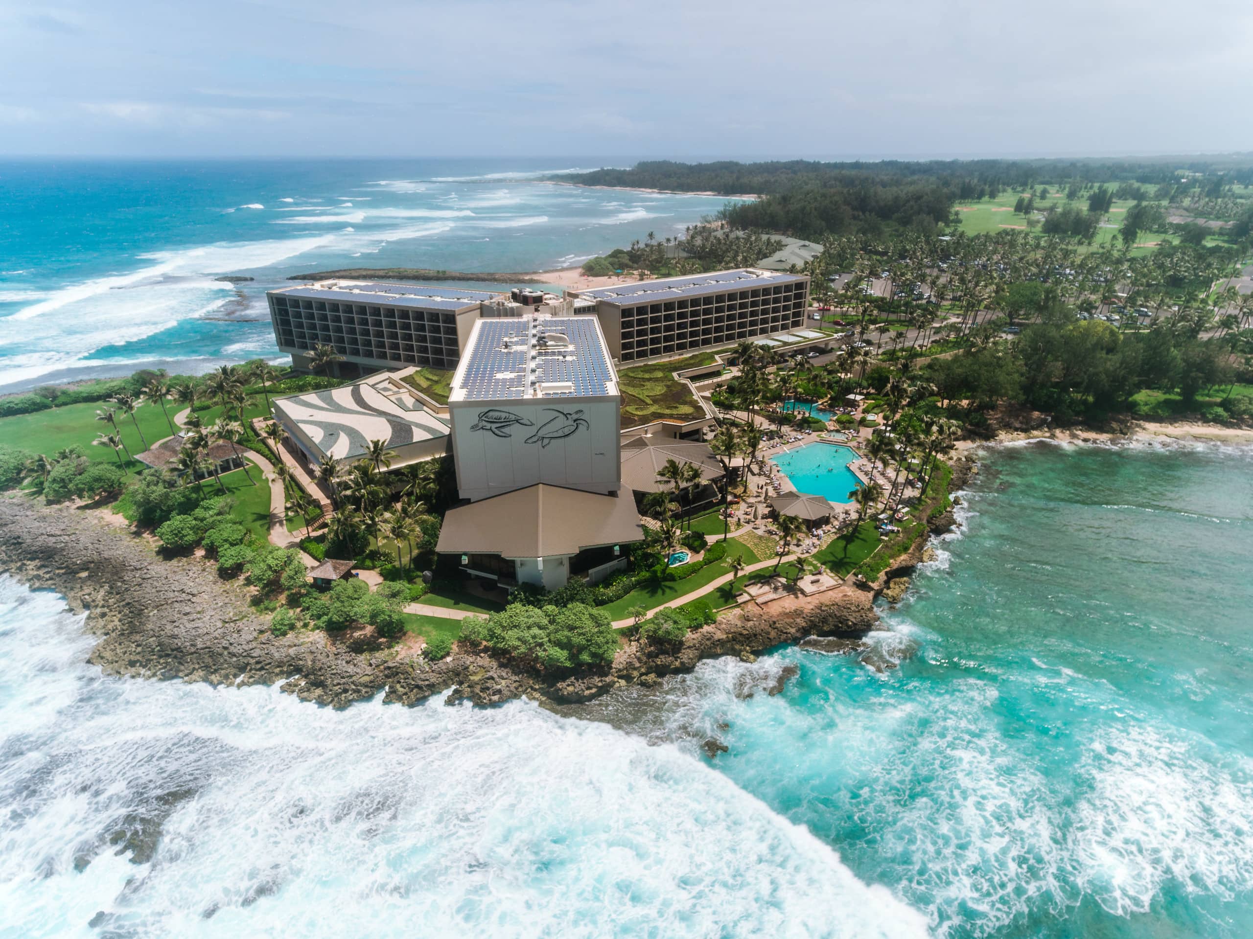 Iconic Turtle Bay - Full Kitchen & 2 Full Baths - Image 30