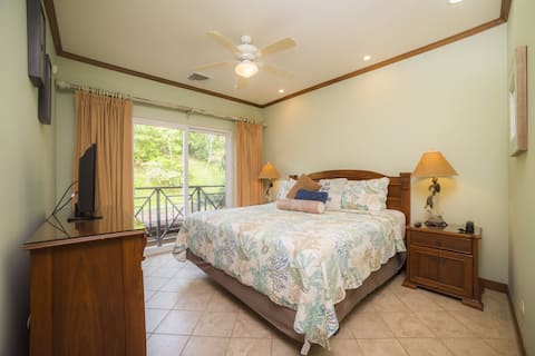 Stunning 1 bdr 1 bath Condo at Los Suenos Resort