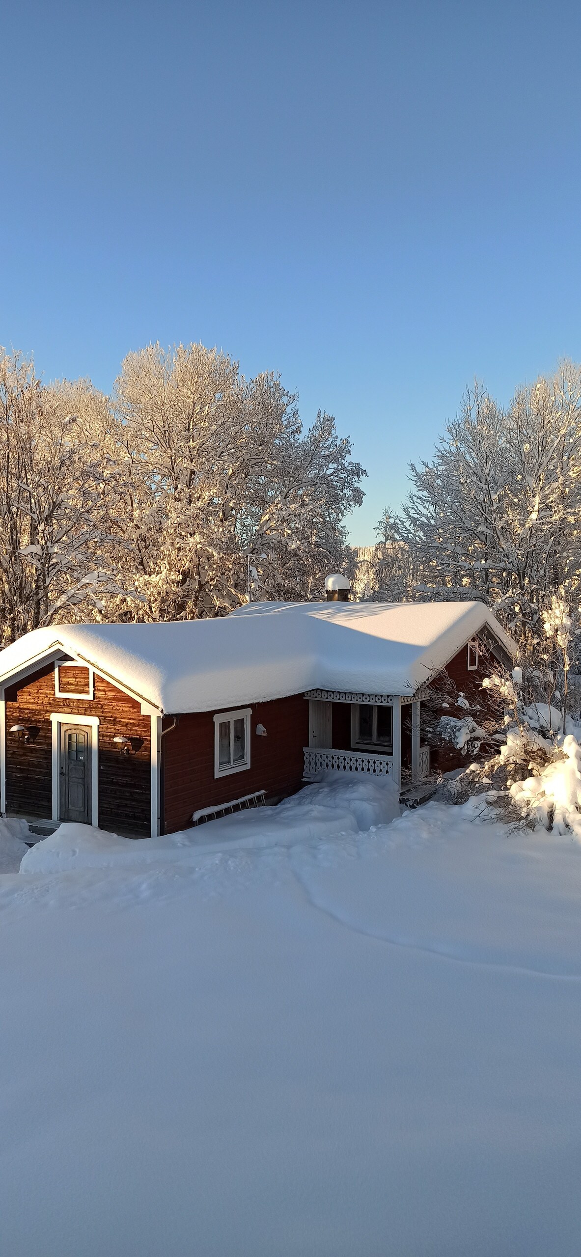 A charming cabin is nestled in a serene winter landscape, surrounded by trees blanketed in snow. The structure features a porch with decorative trim, and the roof is covered in a thick layer of snow reflecting the bright sunlight in a clear blue sky.