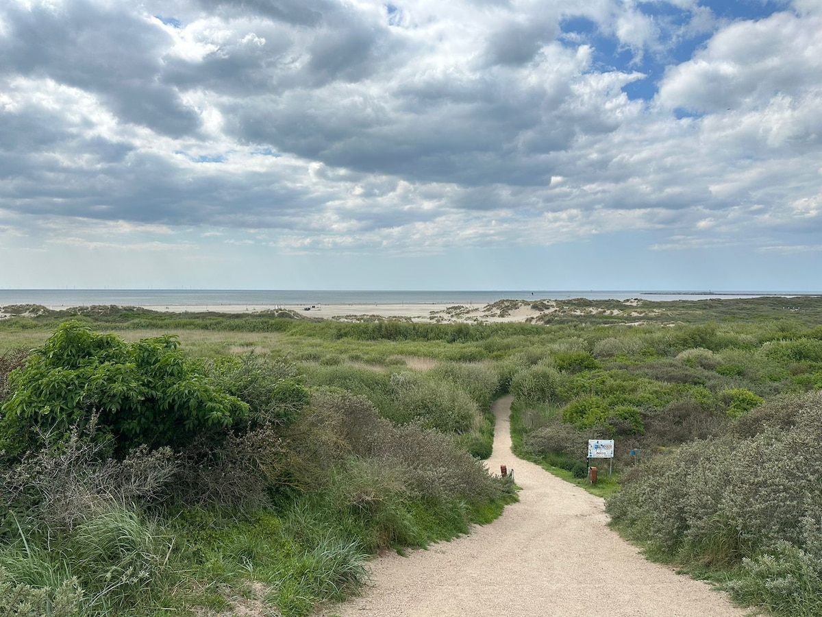 A pathway meanders through a lush coastal landscape, leading towards a sandy beach. Dunes covered in grasses and low shrubs are visible, with the sea visible in the distance under a sky filled with scattered clouds.