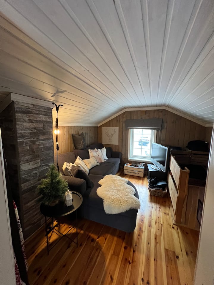 غرفة المعيشة