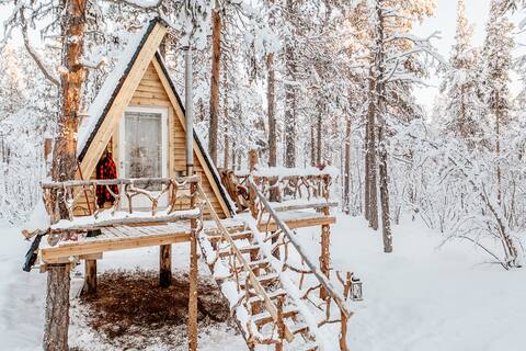 Cozy a-frame in the woods