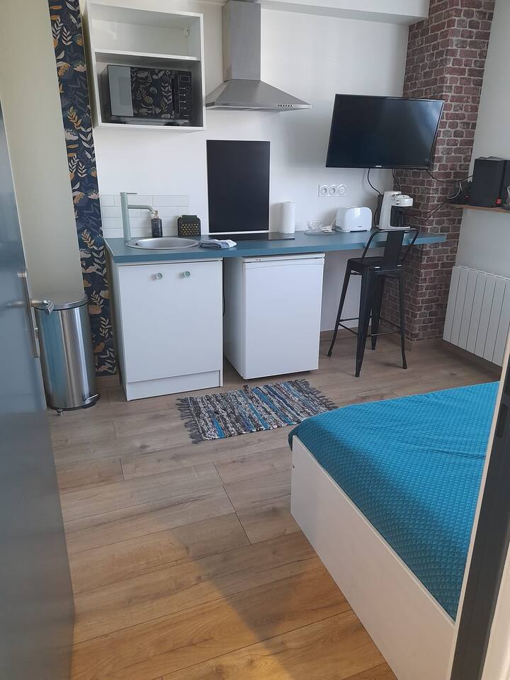 Studio Léon Jouhaux Apartments for Rent in Laval, Pays de la Loire