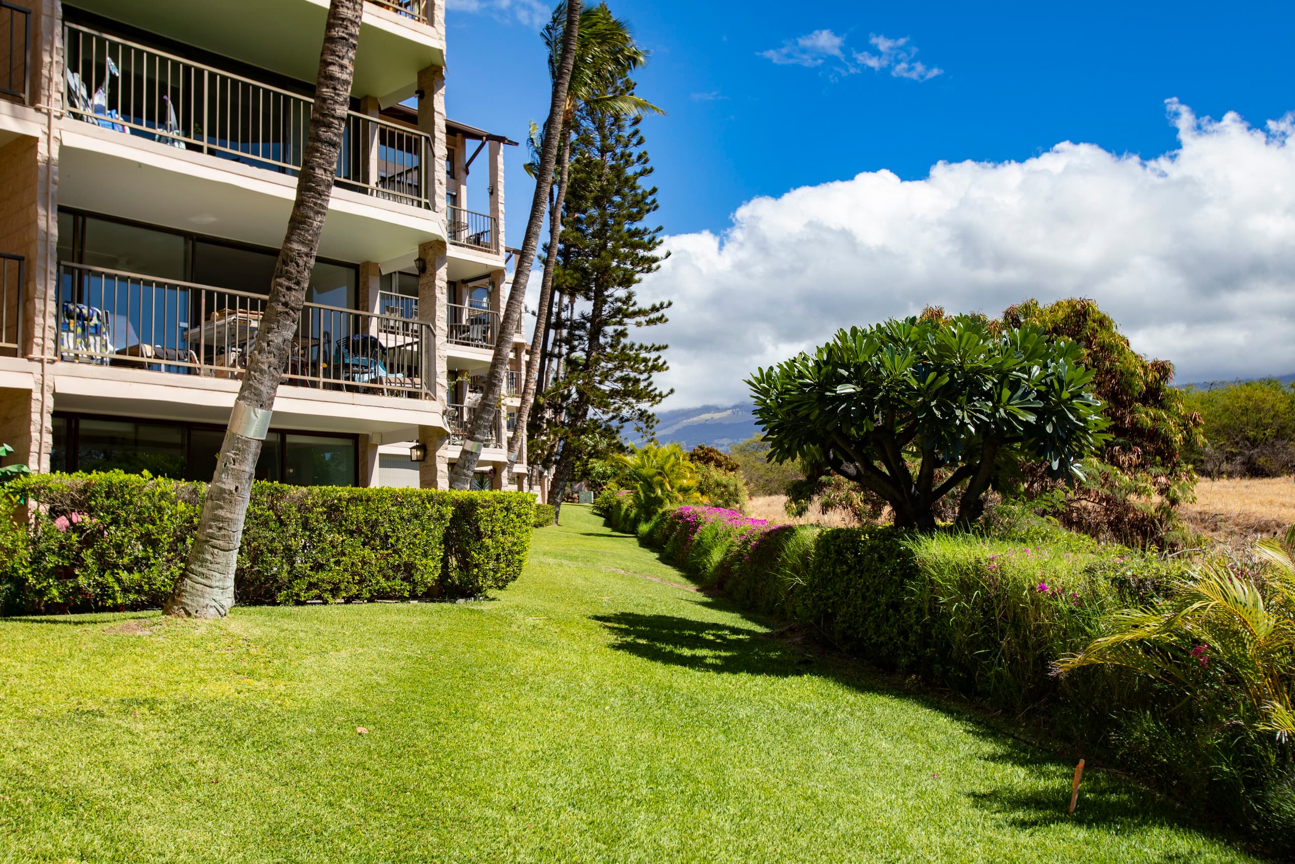Penthouse w/ lanai, pool & beach access - Image 43