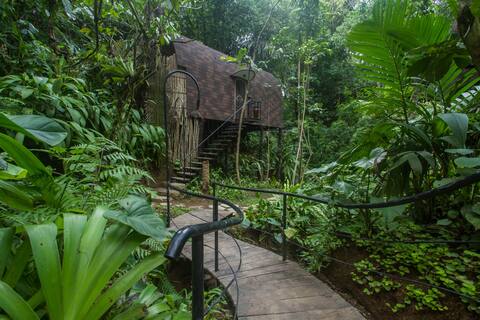 Forest Escape with Hammock in Payangan, Bali