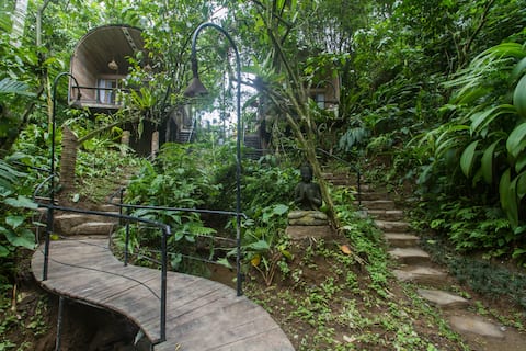 NEW 20% OFF | Forest Escape in Payangan, Bali