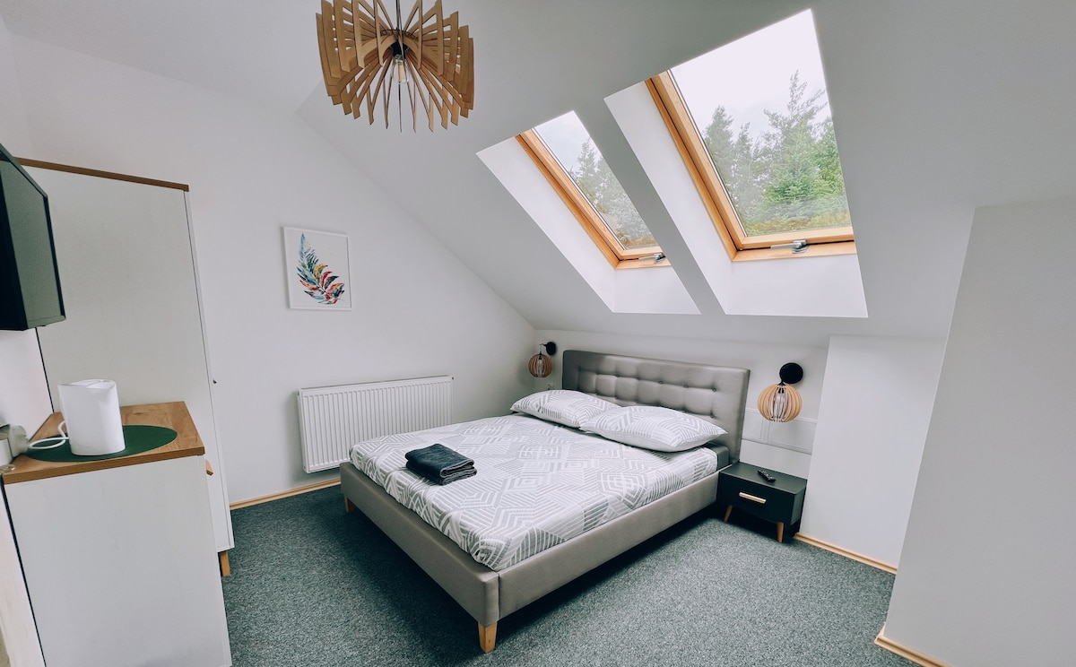A well-lit bedroom features a spacious bed with a light-colored comforter, positioned under two skylights that provide natural light. A modern lamp is mounted on the wall beside the bed, and a television is mounted opposite. Soft carpeting enhances the comfort of the space.