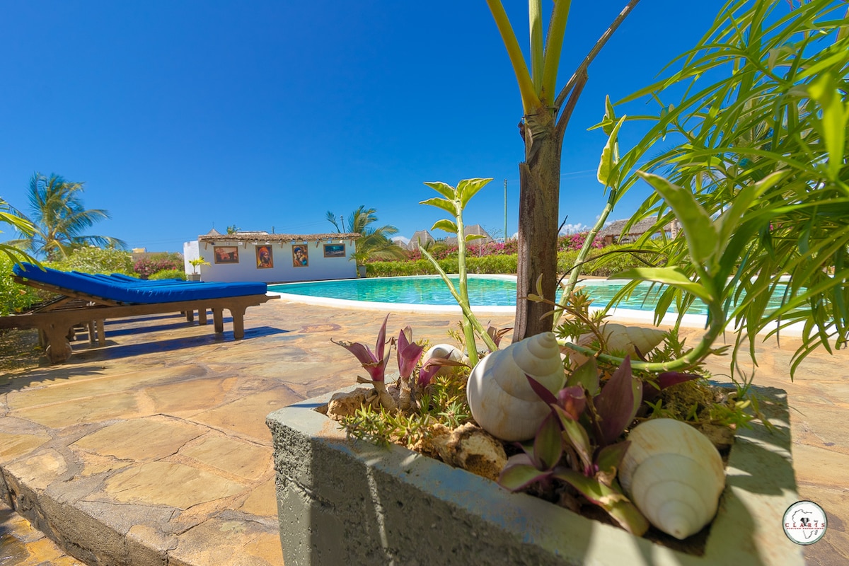 A serene pool area is featured, surrounded by lush green plants and decorative shells. A sun lounger rests nearby, positioned under the clear blue sky. The vibrant colors of tropical flora provide a calming backdrop to the tranquil setting.